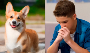 Joven indeciso entre mantener perro o criar a malagradecido que va a hablar paja de él con su psicólogo en 25 años