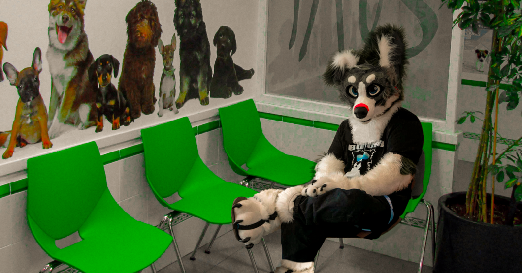 Chamo sin seguro medico se mete a furry porque el veterinario es más barato