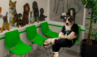 Chamo sin seguro medico se mete a furry porque el veterinario es más barato