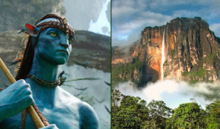 Gente que no entendió de qué trataba Avatar anuncia fiesta con temática de Avatar en Canaima
