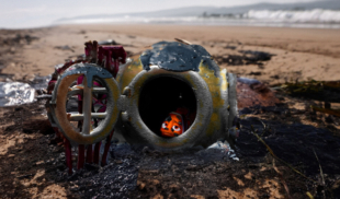 Consiguen a Nemo dentro de derrame de petróleo de PDVSA