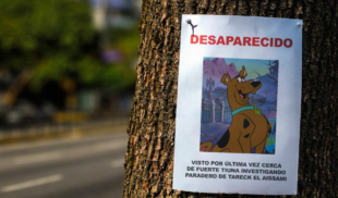 Desaparecen a Scooby Doo por investigar el misterio del paradero de Tareck El Aissami