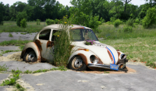 Fallece Herbie desmantelado en estacionamiento judicial