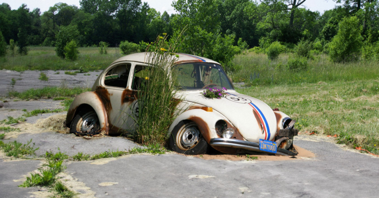 Fallece Herbie desmantelado en estacionamiento judicial