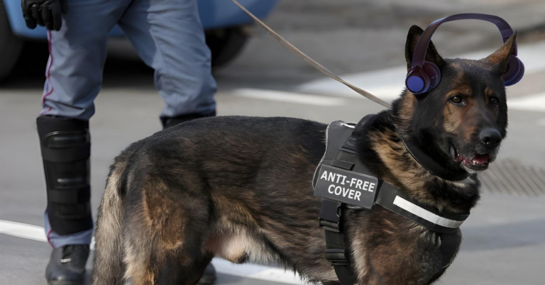 ICE entrena perros anti-FreeCover para redadas contra migrantes