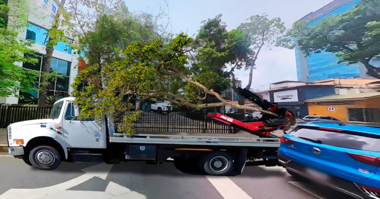 Alcaldía remolca árbol mal estacionado