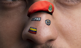 PNB pone a la orden fosas nasales para incautar toda la droga posible