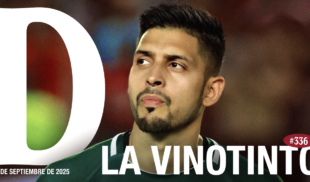 Domingüire No. 336: La Vinotinto