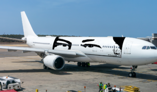 INAC revoca licencia a todas las aerolíneas que se negaron a rotular los ojos de Chávez en sus aviones