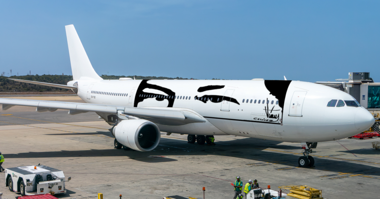 INAC revoca licencia a todas las aerolíneas que se negaron a rotular los ojos de Chávez en sus aviones