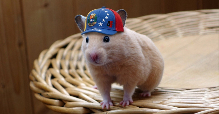 Destituyen a hámster de Maduro del Ministerio de Salud