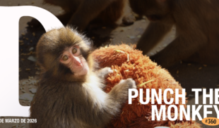 Domingüire No. 360: Punch The Monkey