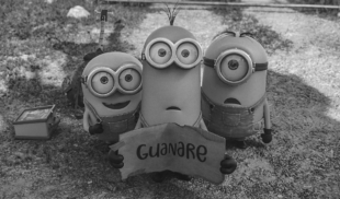 Minions de visita en Guanare terminan convertidos en sancocho