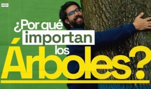¿Por qué importan los árboles? | 307