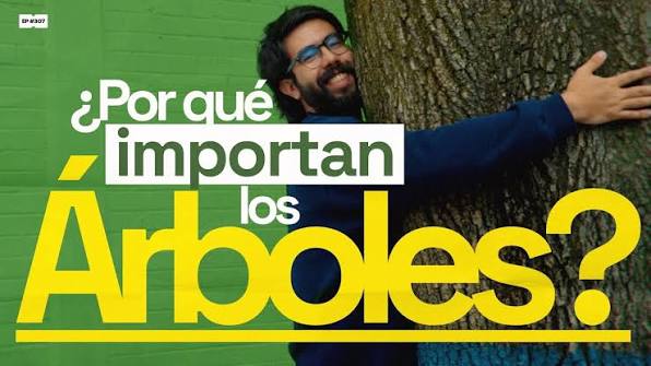 ¿Por qué importan los árboles? | 307