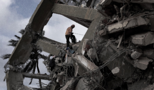 El terremoto en números