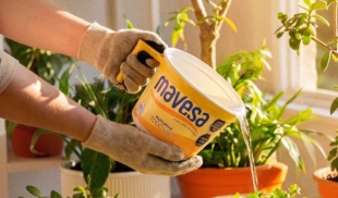 Mejores usos para tu pote Mavesa
