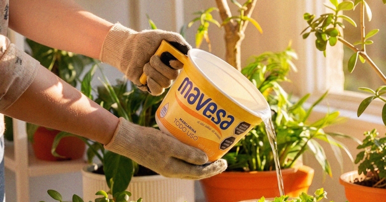 Mejores usos para tu pote Mavesa